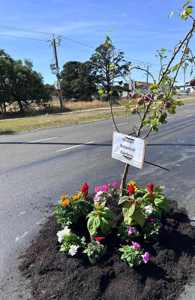 Wallan residents went to extreme lengths last year to see the quality of their roads addressed, planting a tree and garden in a prominent pothole. Picture: Facebook