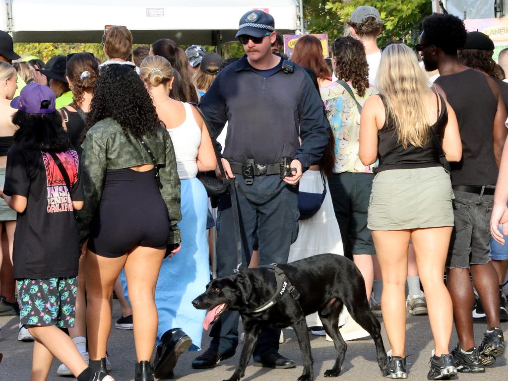 Police with a sniffer dog at Laneway Festival, Sydney Olympic Park. Picture: Damian Shaw