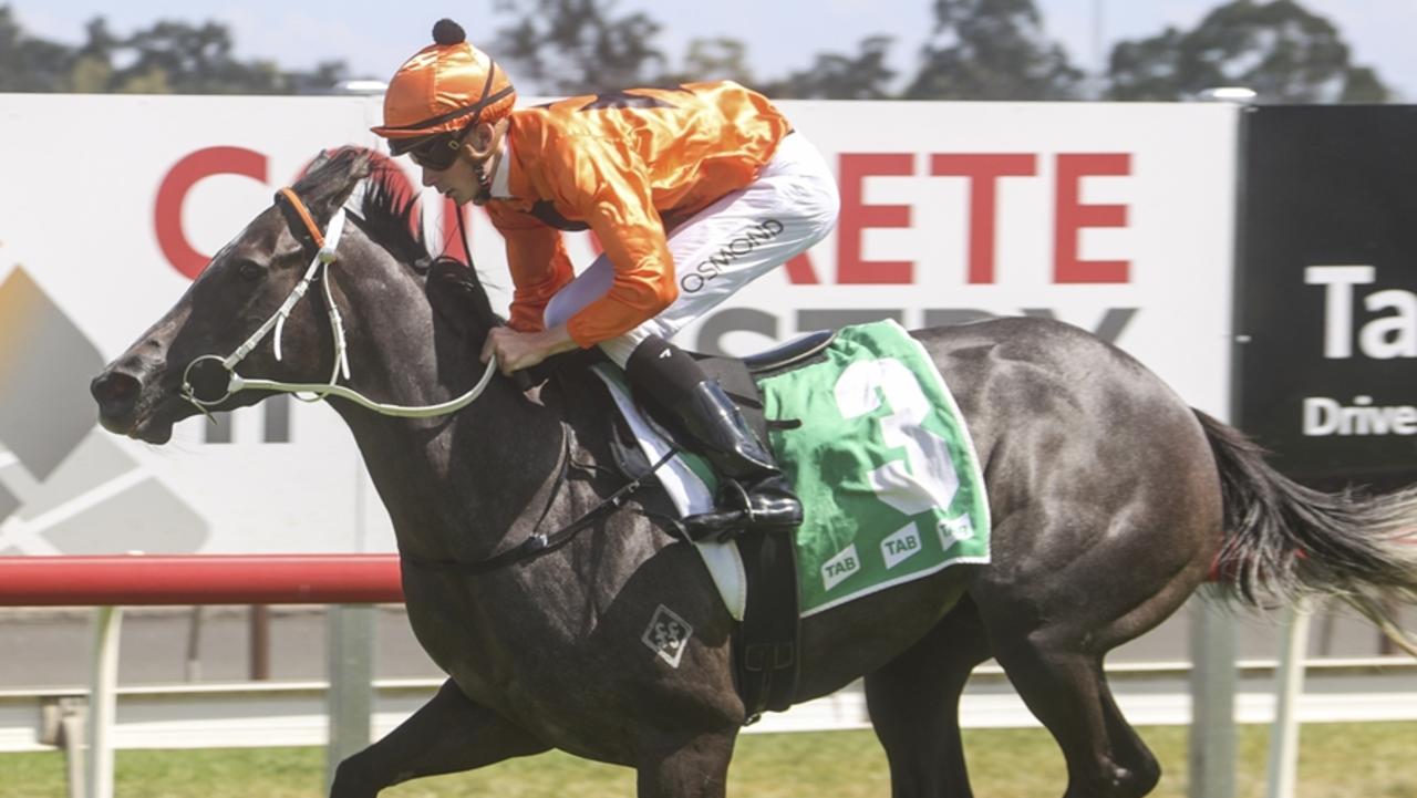 Randwick Turf Talk: $8 value for first-up specialist