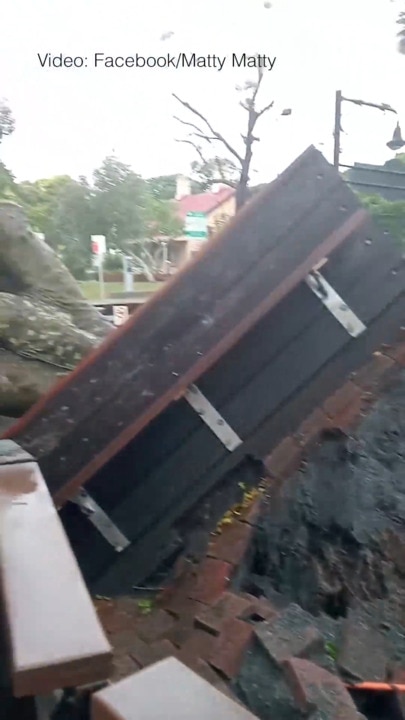 Huge tree crashes down at Byron pub