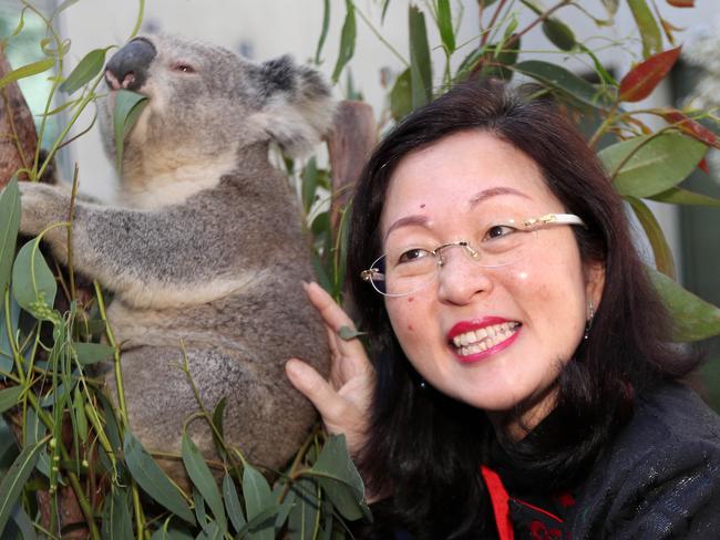 Gladys Liu met a Koala at the event at Parliament House.Federal politicians came face to face with some of AustraliaÕs most endangered native animals at Parliament House in Canberra as part of the National Threatened Species Day. Picture Gary Ramage