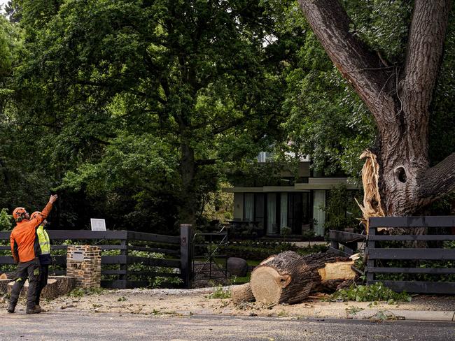 Fatal at Stirling -  a woman has died after a tree fell on her car on Mt Barker Road, Stirling on Wednesday night, workers at the scene photographed Thursday November 12, 2020 - pic Mike Burton