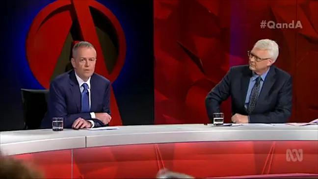 Bill Shorten calls Pauline Hanson's Burqa stunt 'A dumb distraction'