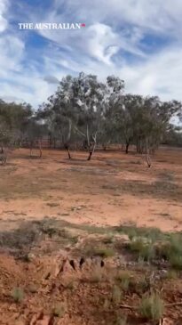 Mount Gundabooka & the Darling River Run