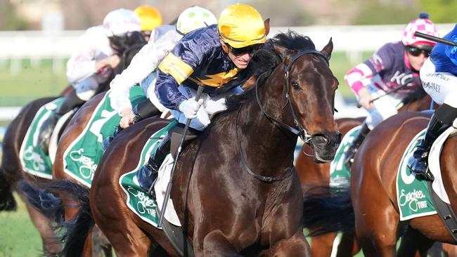 Arkansaw Kid will represent Lindsay Park Racing in Saturday’s inaugural running of The Meteorite at Cranbourne. Picture: Racing Photos