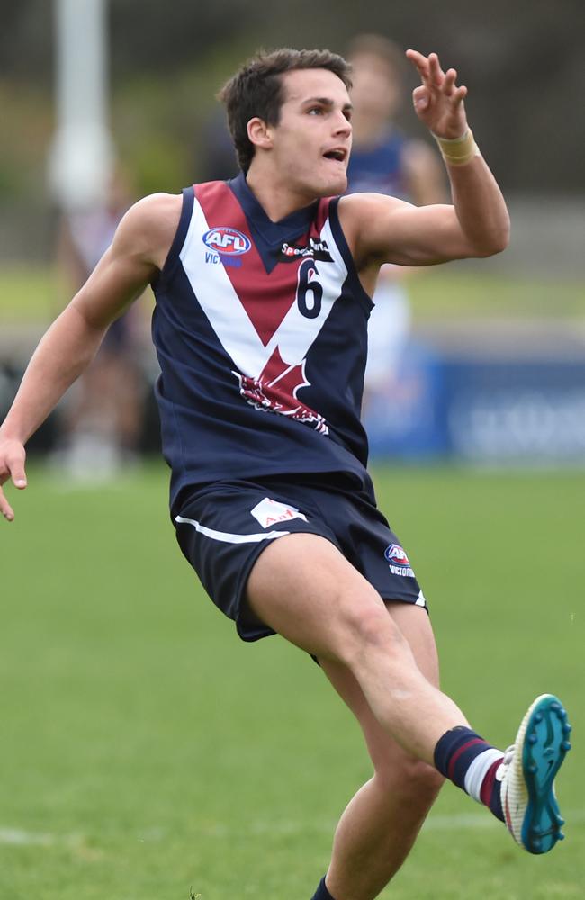 Harley Balic playing for Sandringham Dragons.