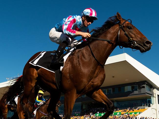 James McDonald rides Dubious to victory in race 6, the Moet & Chandon Champagne Classic, during the Doomben 10000 Day at Doomben Racecourse in Brisbane, Saturday, May 11, 2019. (AAP Image/Albert Perez) NO ARCHIVING, EDITORIAL USE ONLY