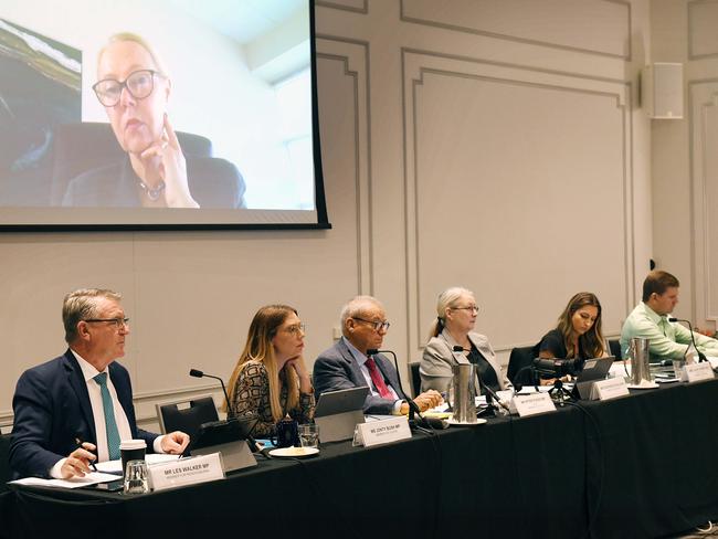 The state government’s Legal Affairs and Safety Committee at a meeting in Townsville on Thursday. Picture: Shae Beplate.