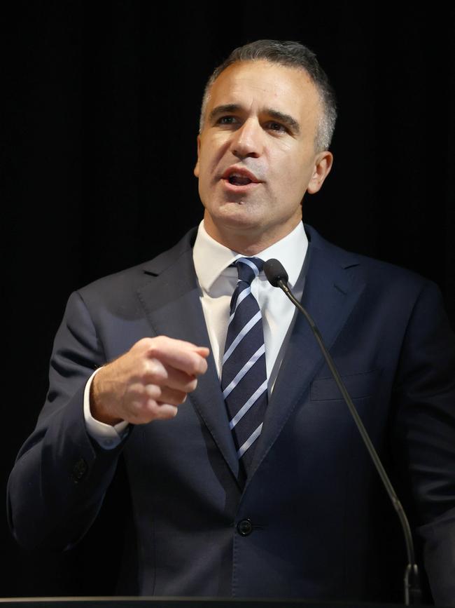 Peter Malinauskas