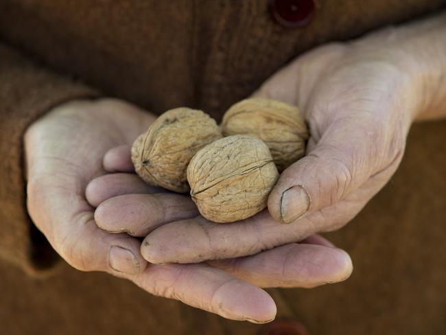 Don’t eschew walnuts just because they’re high in fat. They contain plenty of nutrients we need. Picture: Zoe Phillips