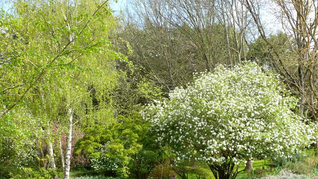 Crookwell Garden Festival, NSW. 10am-4pm, $20 for 11 gardens, under 15 free.