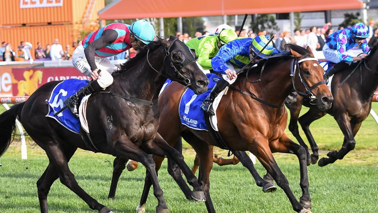 Hyland Race Colours Toorak Handicap