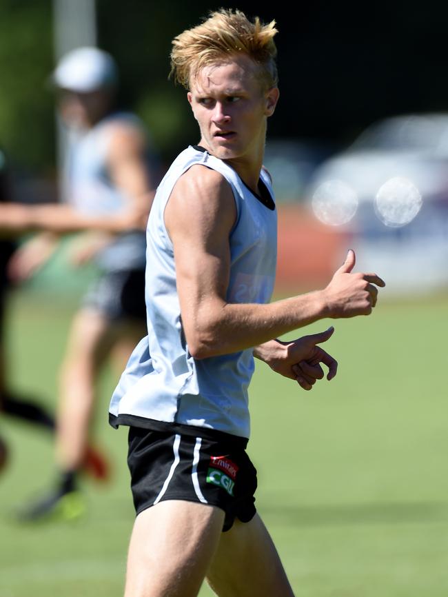 Collingwood swooped on Jaidyn Stephenson and he’s impressed during preseason. Picture: Nicole Garmston