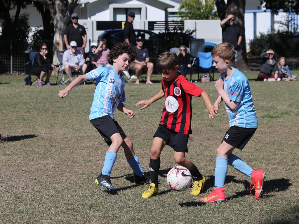 50+ Pictures: Junior Football Burleigh v Palm Beach | Gold Coast Bulletin