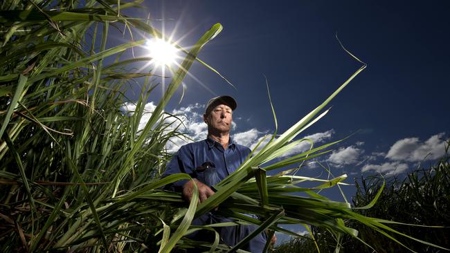 Farmer Peter Kaddatz would normally be processing his crop through the mill at Rocky Point but it hasn't been operating for six months. He’s welcomed the sale of land. PHOTO: Jerad Williams