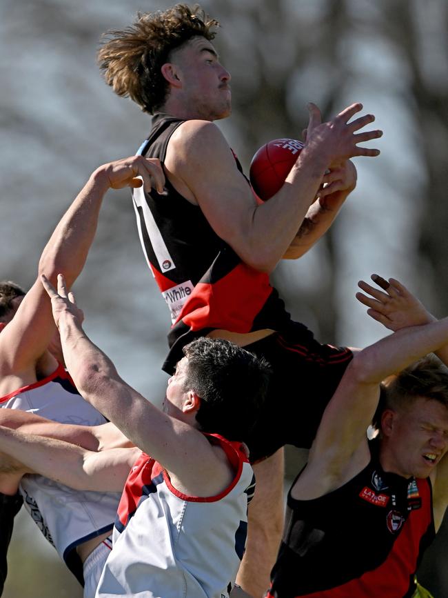 Finnbar Maley flies high for Eltham. Picture: Andy Brownbill