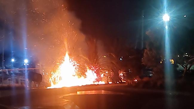 Palm trees were set alight. Picture: Supplied