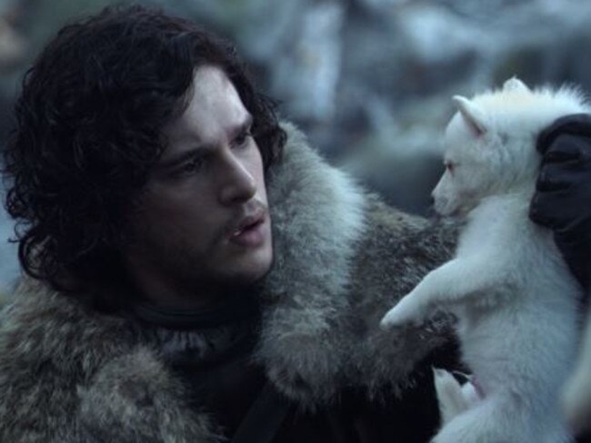 Puppy love ... Jon Snow finds Ghost as a pup in Game of Thrones. Picture: HBO