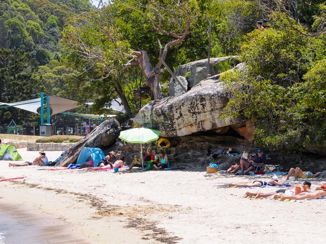 Bushland on the edge of the beach at Clifton Gardens. Picture: AAP Image / Rafal Kontrym