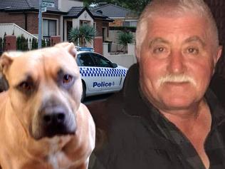 Son ‘devastated’ after his dog killed dad in horror attack