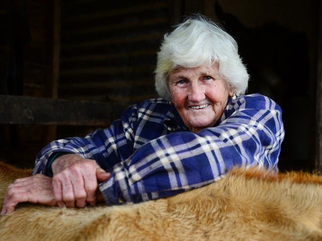 Dorothy Sloan hand milking Pictured: Dorothy Sloan with her Jersey cow named Sally. Dorothy has been hand milking for 60 odd years now.PICTURE: ZOE PHILLIPS