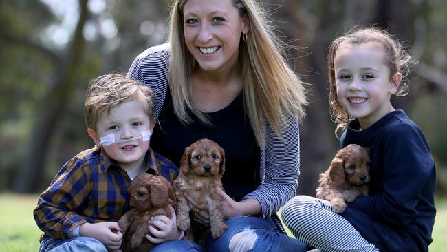 Heidi Millier with son Sonny, 3 and Isla 5 and Cavoodle puppies at Banksia Park Puppies. Picture: David Geraghty.