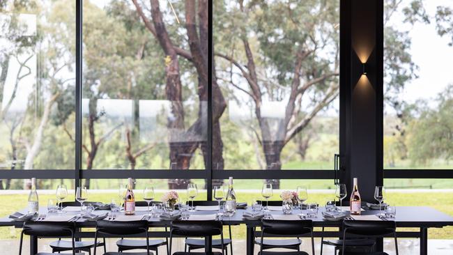 View from the restaurant at Anvers cellar door, Kangarilla.