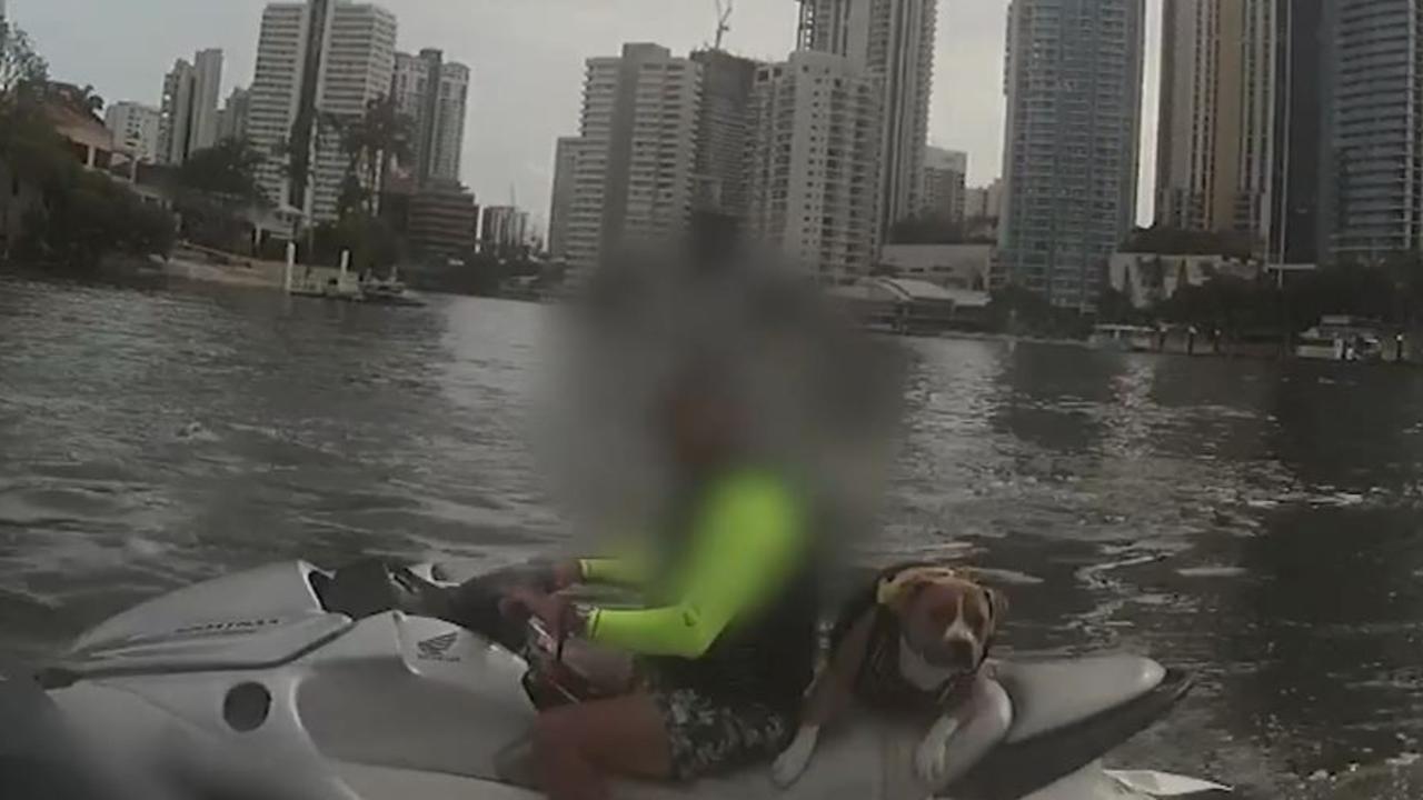 A terrified pooch as a pillion passenger on a jet ski off on the waters off the Gold Coast. Picture: Supplied / QPS