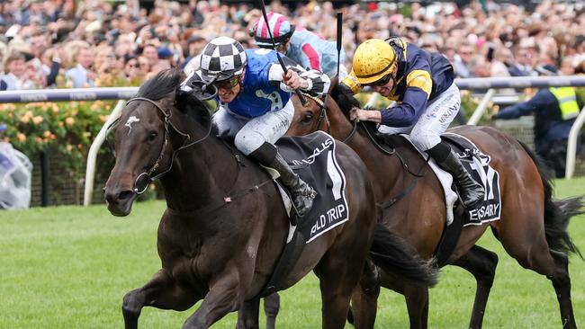 Gold Trip, ridden by Mark Zahra, claims our most famous race. Picture: George Sal/Racing Photos via Getty Images