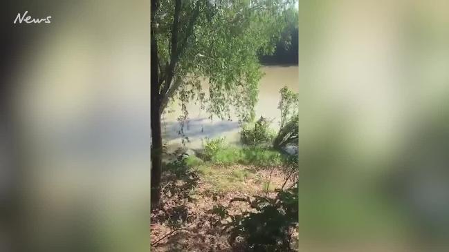 Dumb Blonde gets snapped up by crocodile