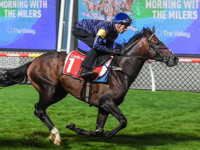 Alenquer ridden by Jordan Childs with Toronto Terrier ridden by Blake Shine at All Star Mile track gallops at Moonee Valley Racecourse on March 14, 2023 in Moonee Ponds, Australia. (Photo by Brett Holburt/Racing Photos via Getty Images)