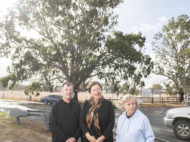  John Yeomans, MP Danielle Green and Chris Yeomans with the historica trees. 