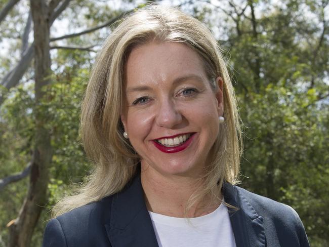 Nats show hand on net zero: big bucks for the bush