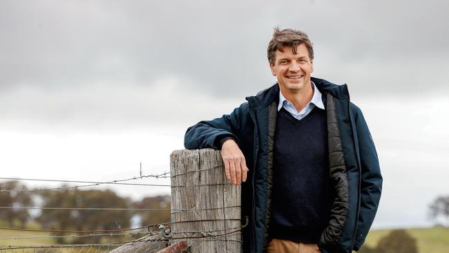 ‘Cats can be herded if there’s a clear goal’: Angus Taylor