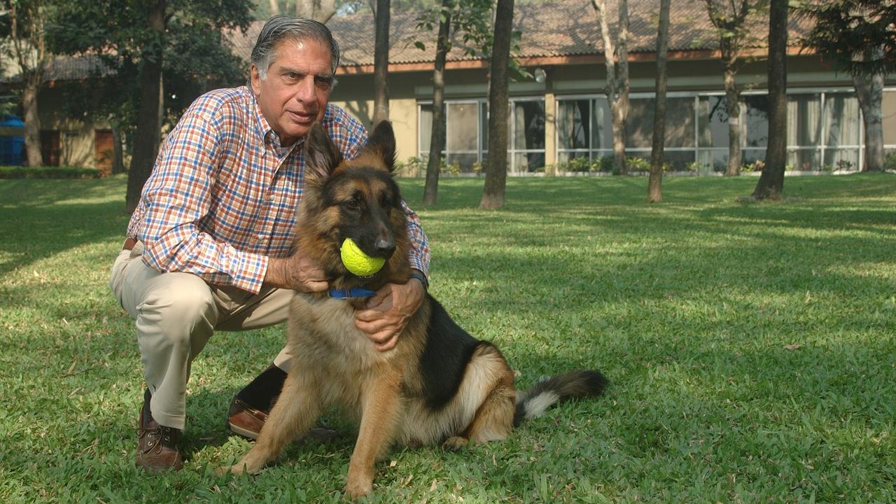 Indian tycoon leaves beloved dog a fortune