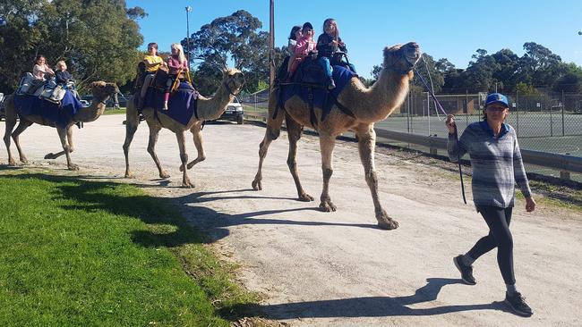 The dead camels were part of a popular local camel riding business. Picture: Facebook