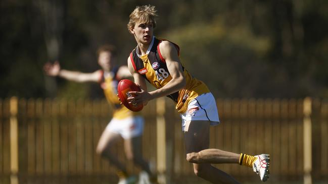 Ben Hopkins. (Photo by Daniel Pockett/AFL Photos/via Getty Images)