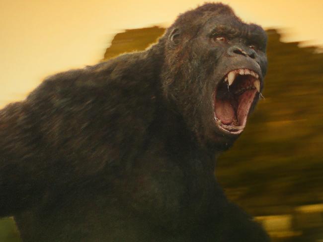 Scene from King Kong: Skull Island. Village Roadshow films.