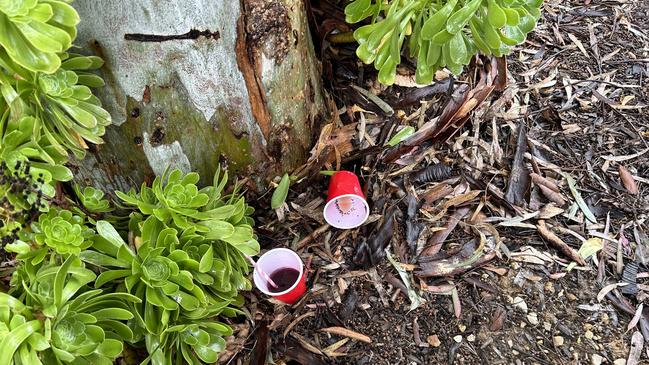 The street is covered in smashed bottles and littered with cans and vomit, a resident said. Picture: Kitty Barr