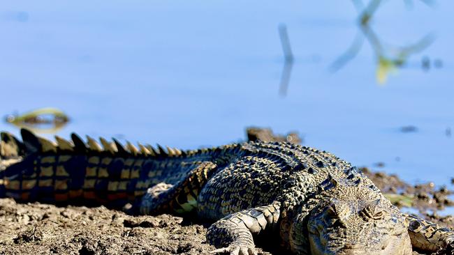 Why are crocs moving out of their CQ comfort zone into risky waters?