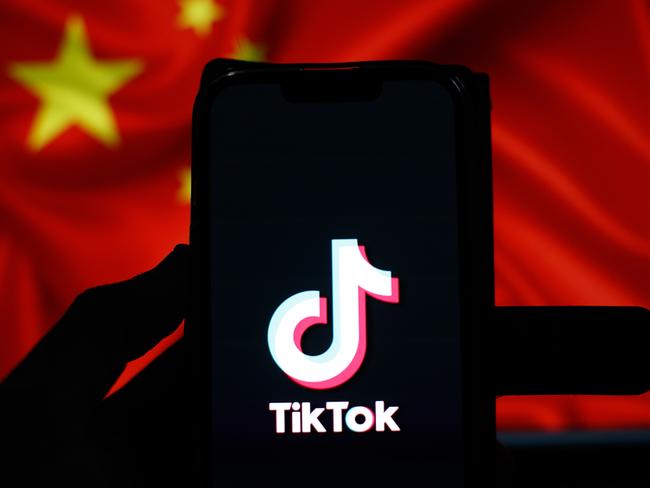 Time for Albanese to stop dithering and ban TikTok