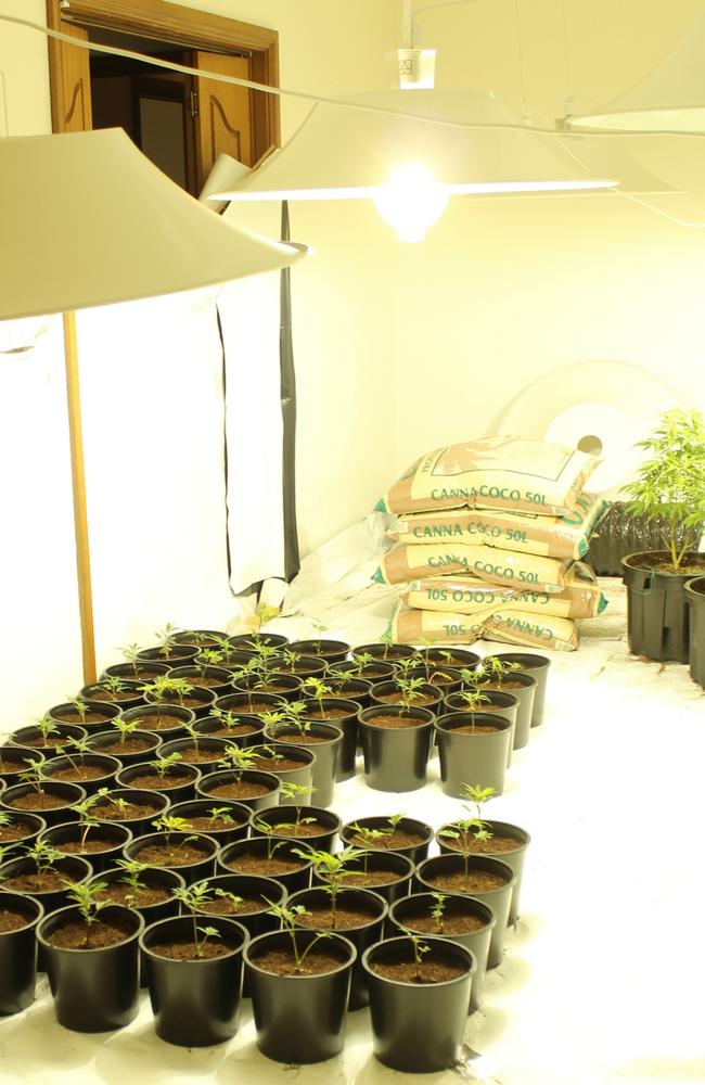 For two of the homes, electricity was illegally diverted from the street supply to power hydroponic equipment. Picture: NSW Police