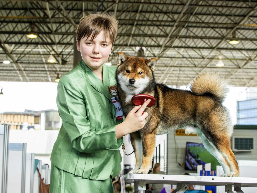 Rose Cook with Roku the Shiba-Inu at the Ekka at the RNA Showgrounds in Bowen Hills on Thursday. Picture: Richard Walker