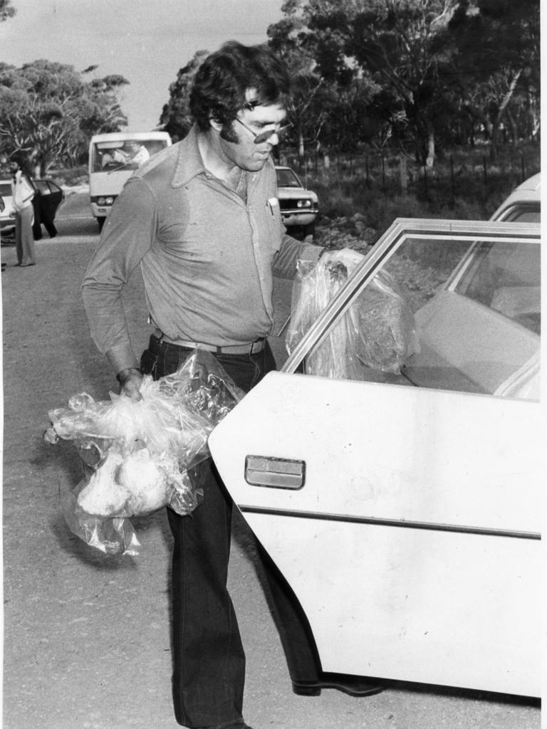 Detective P. Foster carrying plastic bags of bones to a police car on Swamp Road, Truro, on April 26, 1979.