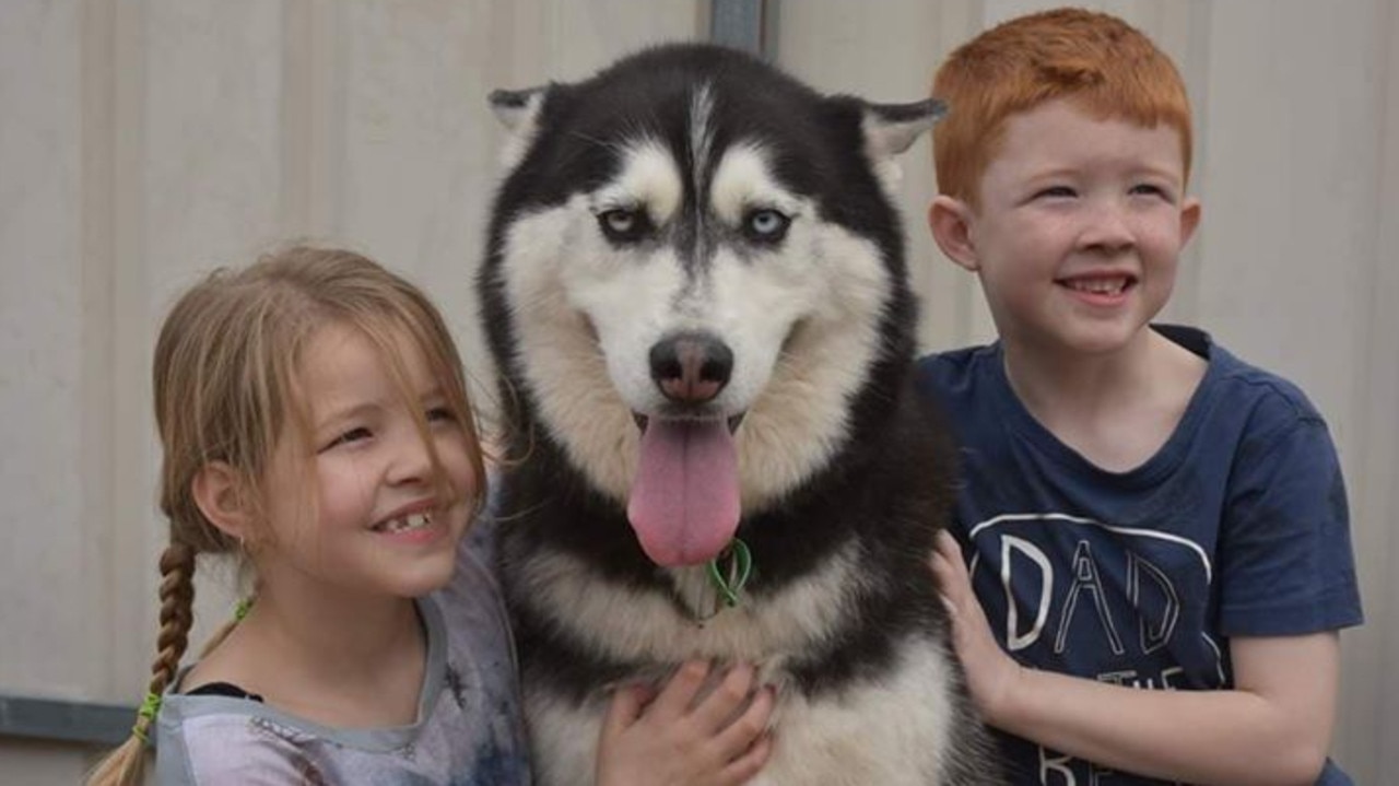 Dalataya, 9, and her brother Jaidyn, 6, with one of the huskies brought to the party. Picture: Tammy Leverington