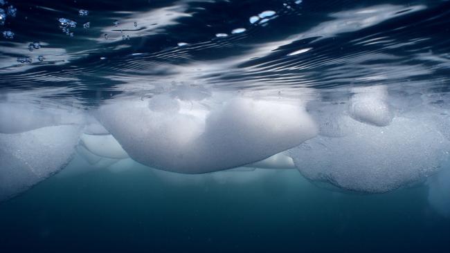 Underwater view of sea ice. Photo: UTAS/AAD/Ben Wallis