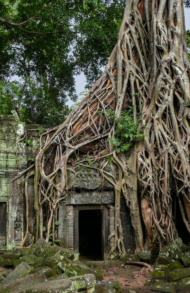 They’ll visit the ancient city of Angkor Wat in Cambodia. Picture: iStock