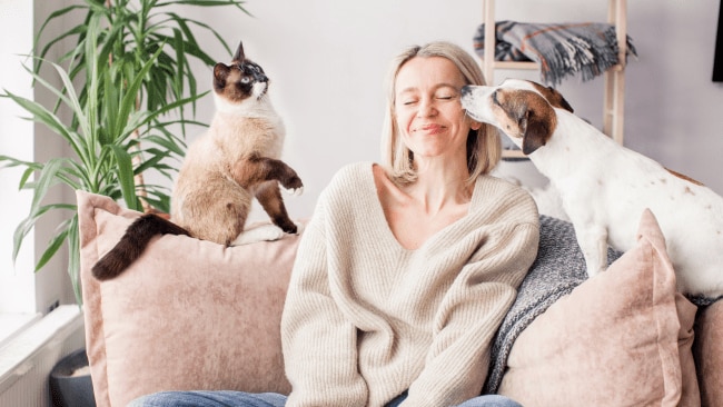 Having a pet is just as good for you as having a partner, or $145k, research shows