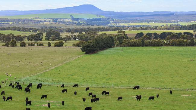 The Homestead and adjoining properties Faggs and Rices have been sold to separate buyers.