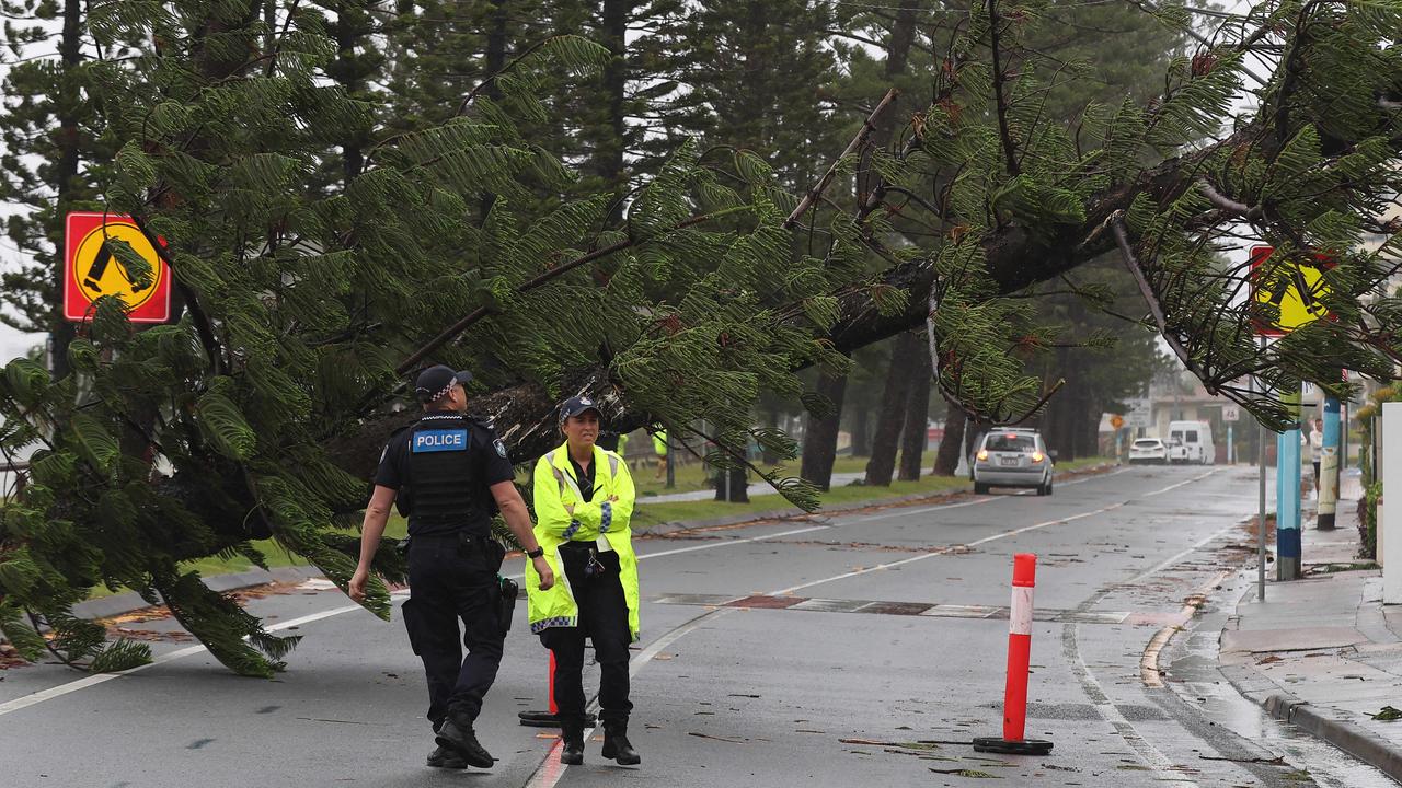 Gold Coasters are waking up to see what damage TC Alfred has caused including trees down like this one in Labrador. Picture: Adam Head.